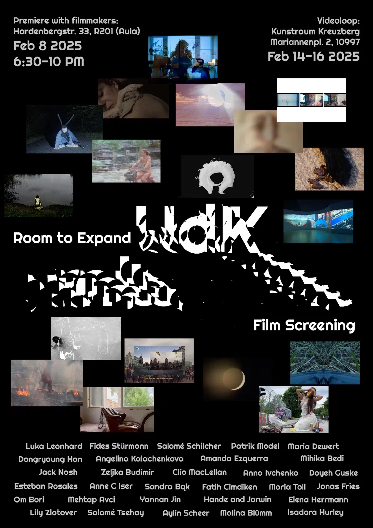 Room to Expand Festival